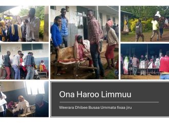 Oromiyaatti Weerarri Dhibee Busaa Akkaan Babal’atuun Lubbuu Namootaa Guyyaguyyaan Dabarsaa Jiraachuun Gabaafame.