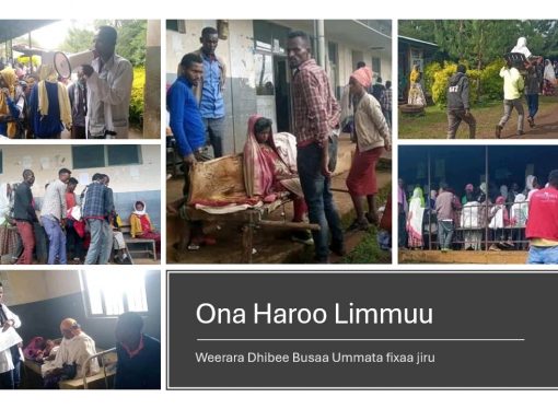 Oromiyaatti Weerarri Dhibee Busaa Akkaan Babal’atuun Lubbuu Namootaa Guyyaguyyaan Dabarsaa Jiraachuun Gabaafame.