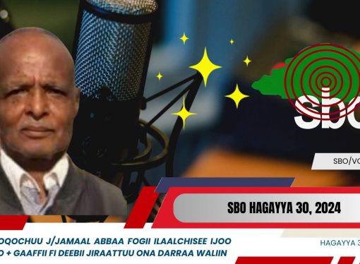 SBO HAGAYYA 30, 2024