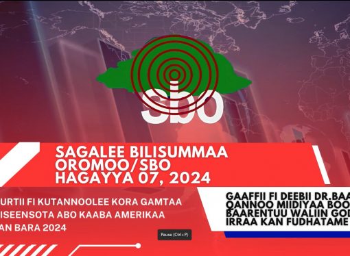 SBO HAGAYYA 07, 2024