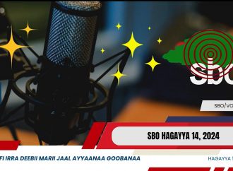 SBO HAGAYYA 14, 2024