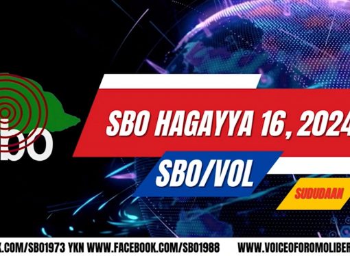 SBO HAGAYYA 16, 2024
