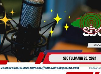 SBO FULBAANA 23, 2024