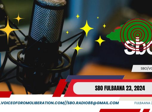 SBO FULBAANA 23, 2024