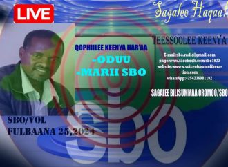 SBO FULBAANA 25, 2024
