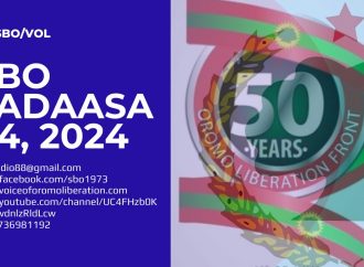 SBO SADAASA 05, 2024