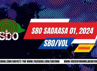 SBO SADAASA 01, 2024
