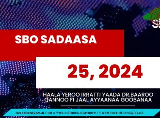 SBO SADAASA 25, 2024