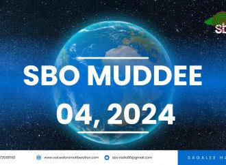 SBO MUDDE 04, 2024