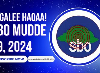 SBO MUDDE 09, 2024