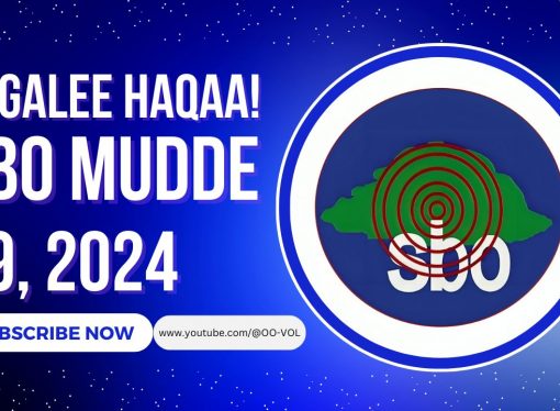 SBO MUDDE 09, 2024