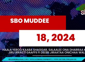 SBO MUDDE 18, 2024