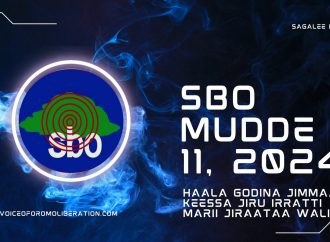 SBO MUDDE 11, 2024