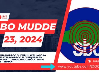 SBO MUDDEE 23, 2024