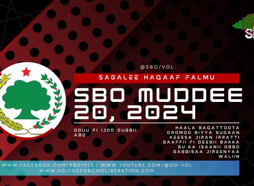 SBO MUDDEE 20, 2024