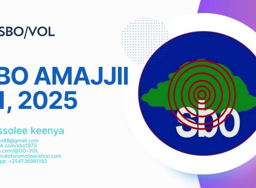 SBO AMAJJII 31, 2025
