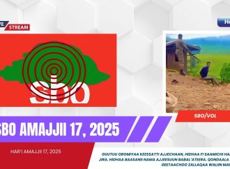 SBO AMAJJII 17, 2025