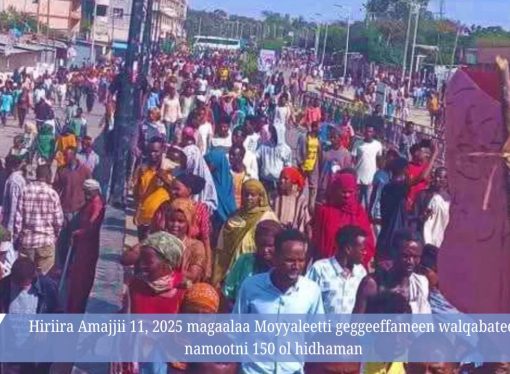 Magaalaa Moyyaleetti namootni baay’een hidhattootaa fi caasaalee nageenyaa PPn qabamanii hidhaatti guuramaa jiran. Ummatni faallaa hiriira darbee akka bahuufis dirqisiifamaa jira.