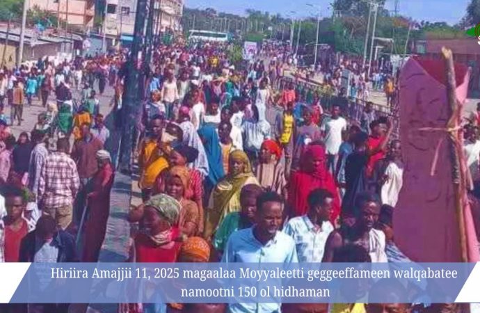 Magaalaa Moyyaleetti namootni baay’een hidhattootaa fi caasaalee nageenyaa PPn qabamanii hidhaatti guuramaa jiran. Ummatni faallaa hiriira darbee akka bahuufis dirqisiifamaa jira.