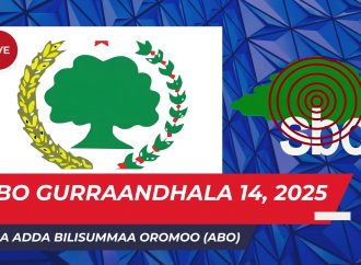 SBO GURRAANDHALA 14, 2025