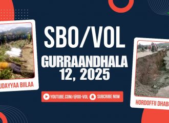 SBO GURRAANDHALA 12, 2025