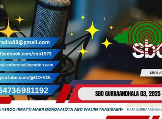 SBO GURRAANDHALA 03, 2025