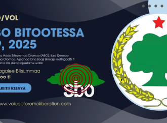 SBO BITOOTESSA 19, 2025