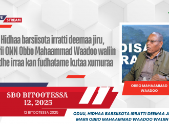 SBO BITOOTESSA 12, 2025