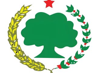 “Ummata Afaan Qawwee Jalatti Ukkaamsuun Dhiiga Ummataa Dhangalaasuun Murna Biltsiginnaa (PP) Dhaabbachuu Qaba!” Ibsa ABO