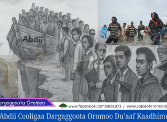Abdii Cooligaa Dargaggoota Oromoo Du’aaf Kaadhimu